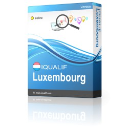 IQUALIF Luksemburg Kollane, professionaalid, äri