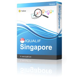 IQUALIF Singapore Gul, Professionelle, Erhverv
