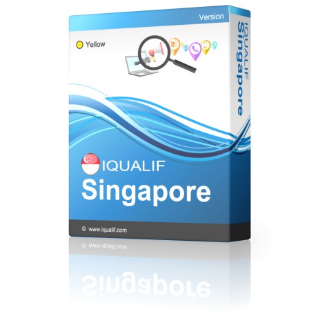 IQUALIF Singapur Kollane, professionaalid, äri